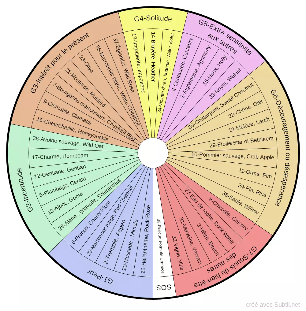 Diagramme circulaire présentant les 7 familles d'émotions et les essences de fleurs de Bach correspondantes pour l'équilibre émotionnel