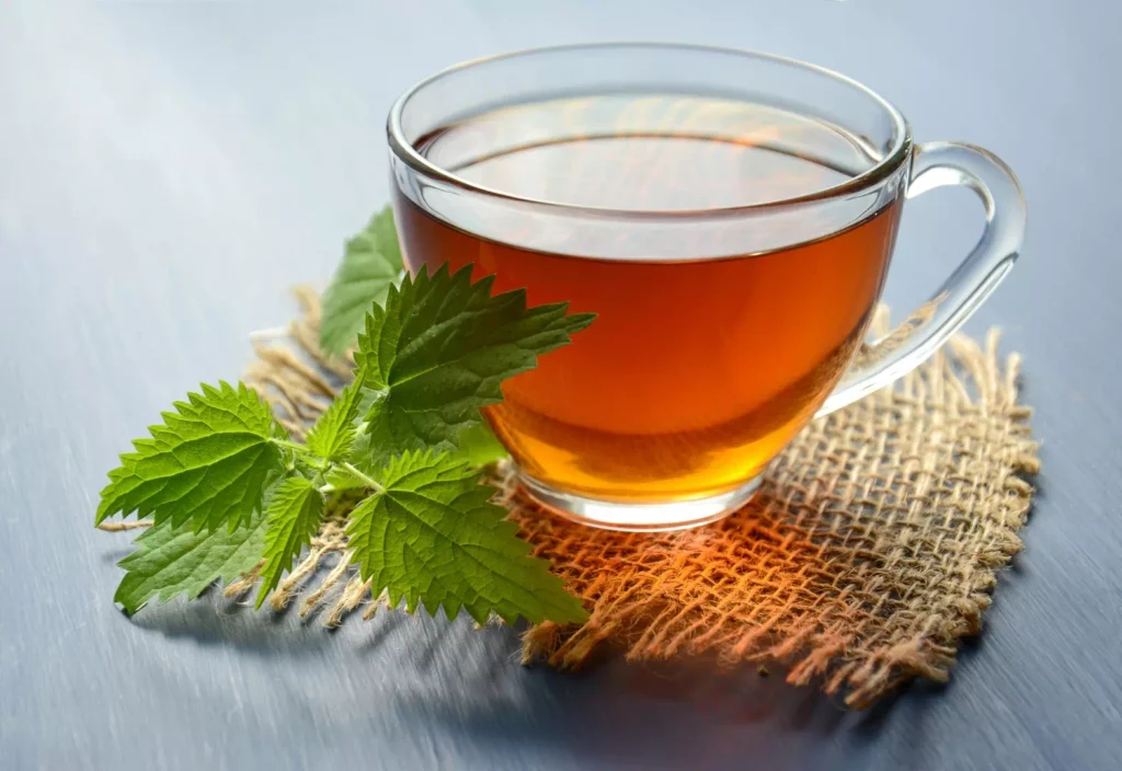 Infusion de plantes comme alternative naturelle pour réduire les effets café énergie négatifs.