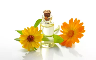 Fleurs de Bach : un soutien naturel contre le stress et les déséquilibres émotionnels