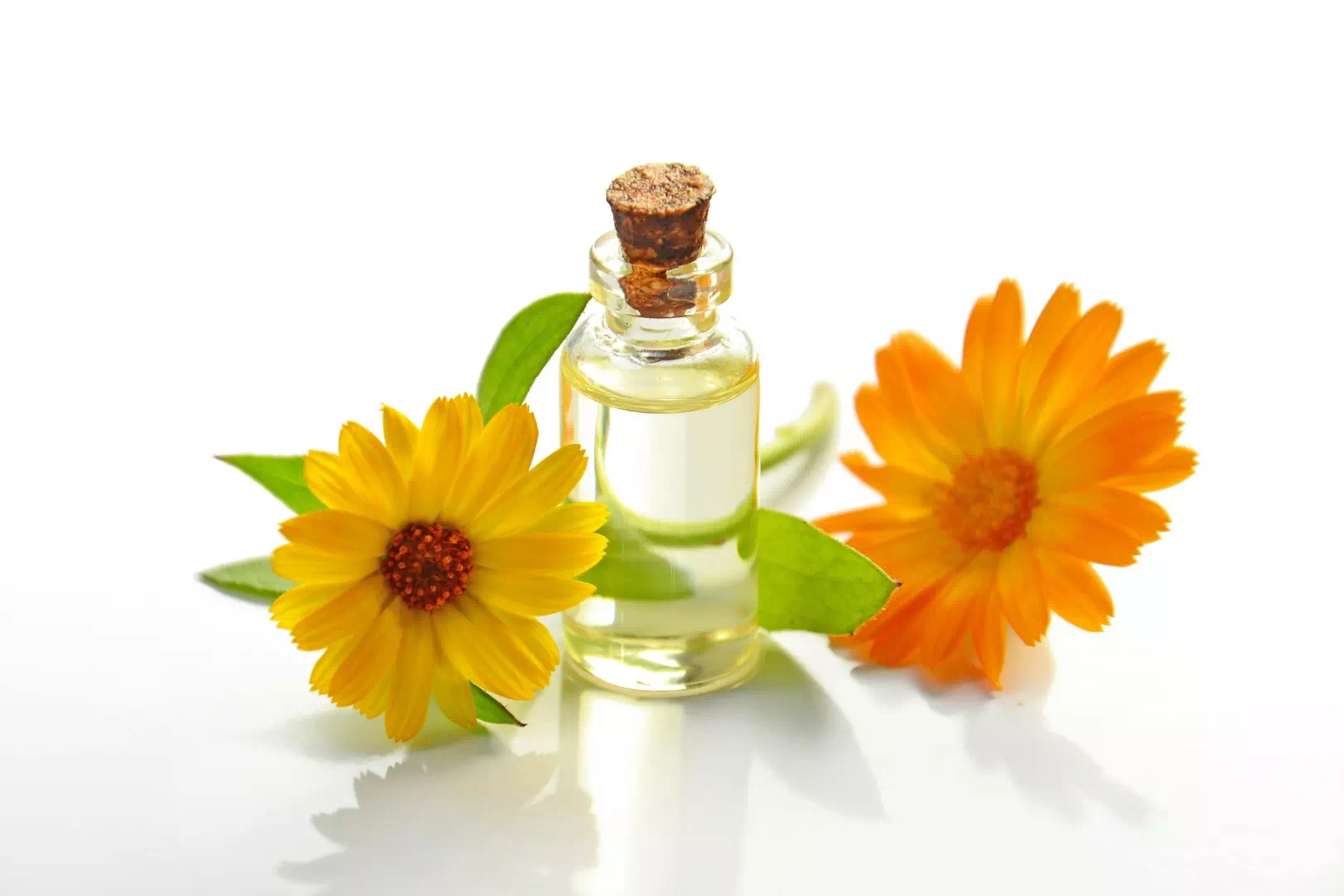 Un flacon d'élixir floral entouré de fleurs jaunes pour apaiser le stress avec les Fleurs de Bach de manière naturelle