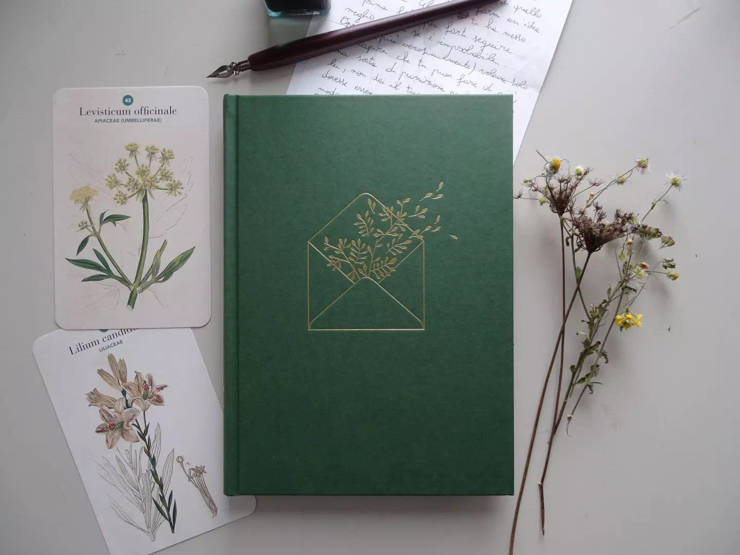Un carnet de notes entouré de feuilles vertes symbolisant l'accompagnement et la recherche d'une solution naturelle pour le lupus.