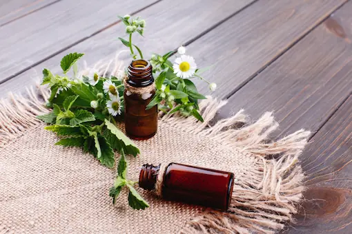 Flacons d'huiles essentielles et plantes médicinales sur toile de jute, illustrant la phytologie en naturopathie